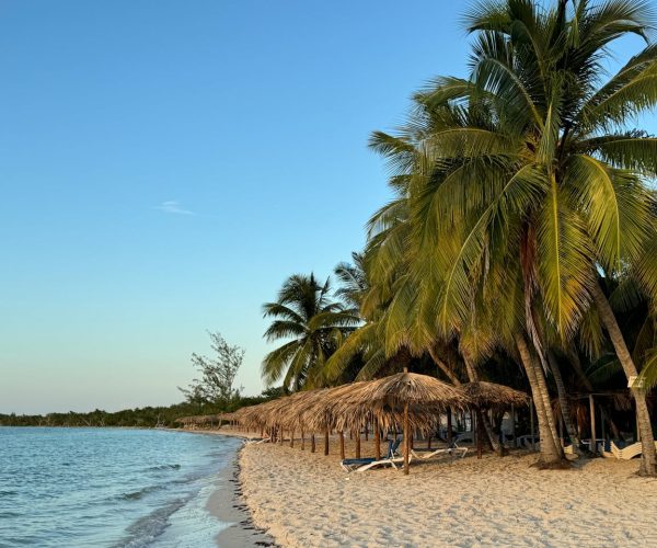 El-caribe (2)