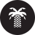 palm