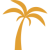 palm-tree