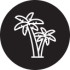 palmera (1)